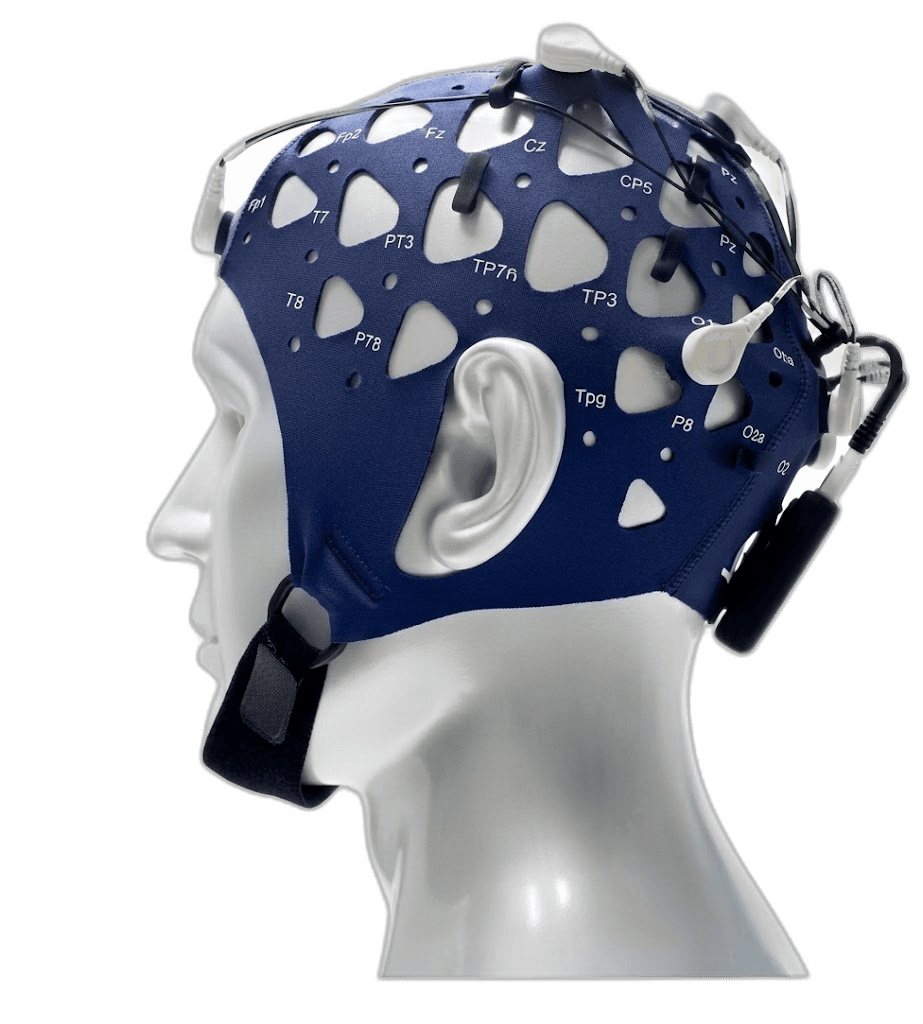 EEG System